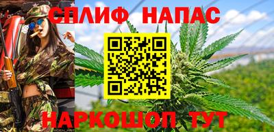 гашик Малгобек