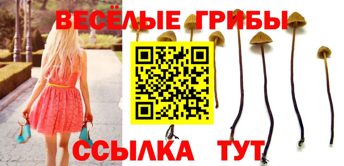 Галлюциногенные грибы мицелий  Вход с VPN  Черногорск 