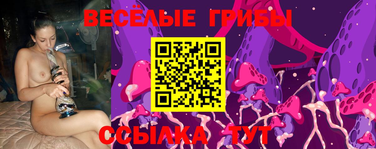 Галлюциногенные грибы мухоморы Черногорск
